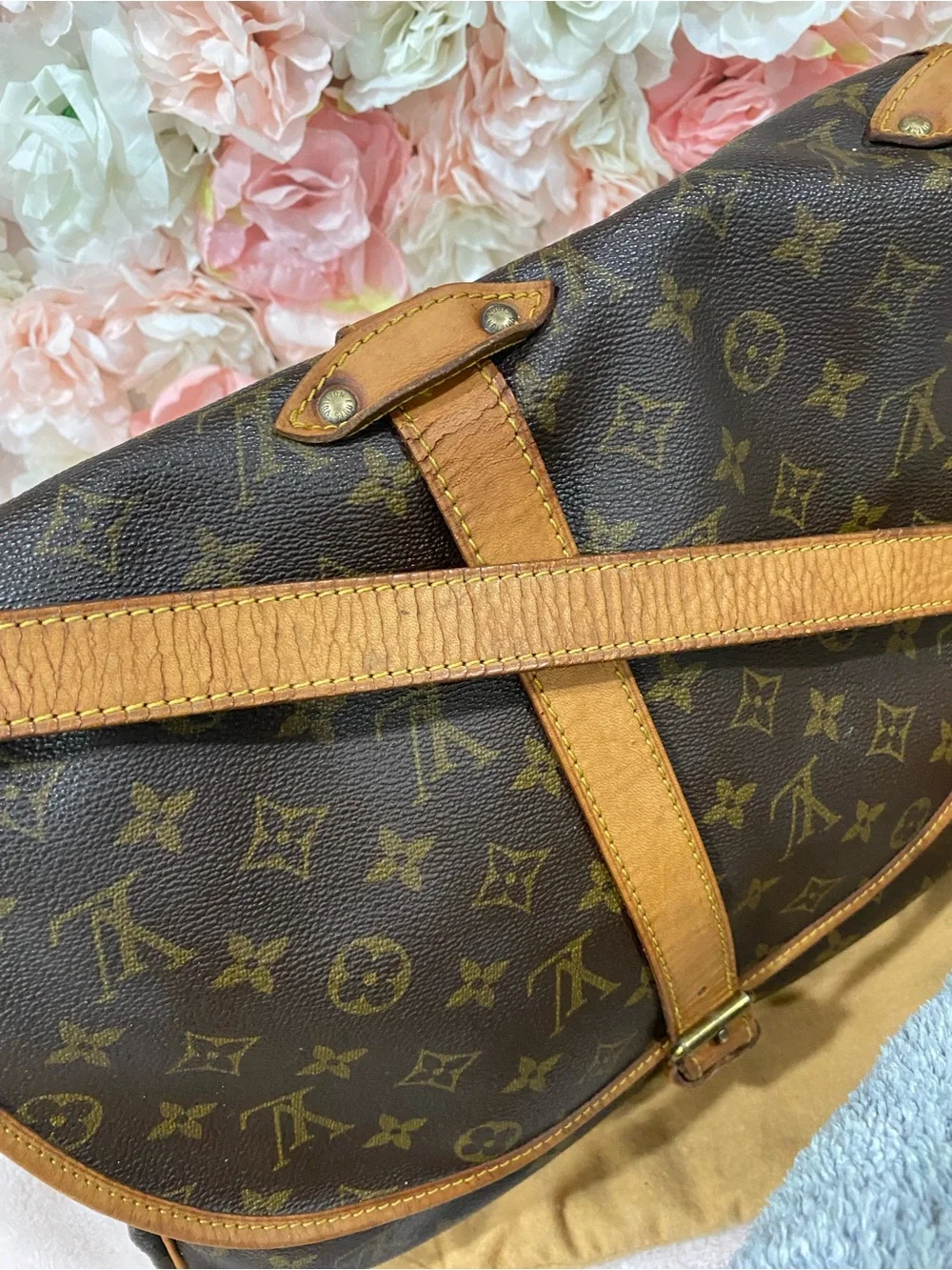 Louis Vuitton authentic louis